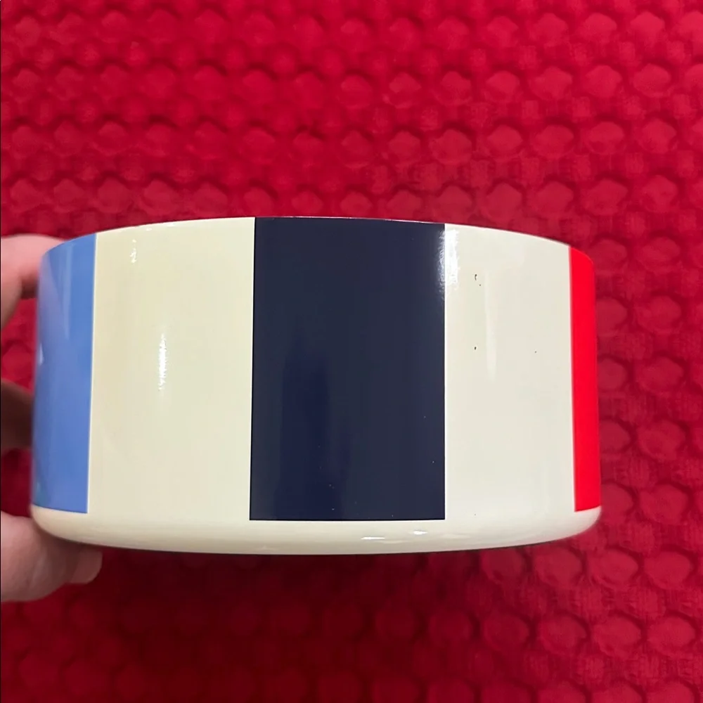 Kate spade adventure stripe metal pet bowl